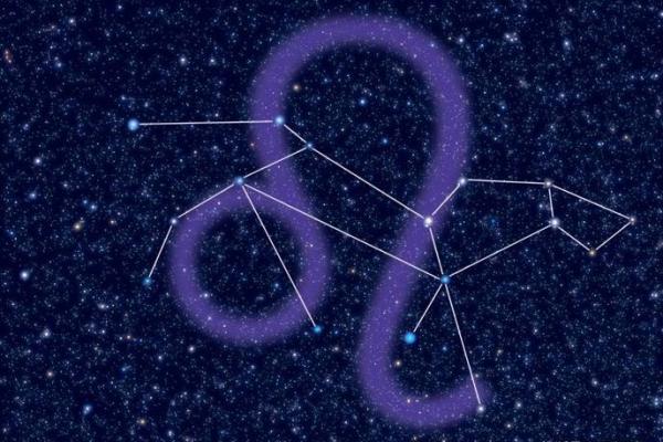 探秘金牛星座：稳重而执着的命运之旅