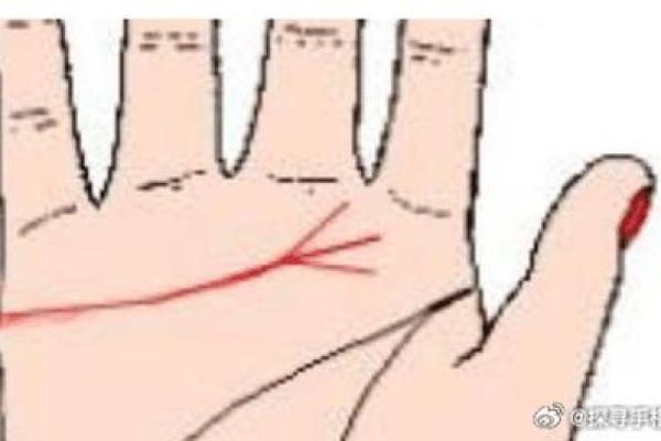 手相浅薄，命格虽薄却深藏玄机！探秘浅手相的命理真相！