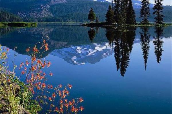 土鸡养殖的家居布置与风水之道：助您迎来财运与好运