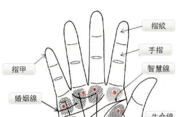 揭秘！手相解读：如何通过手相识别上等命的人