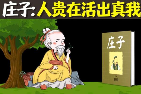 81岁属鸡的命运与人生智慧探秘