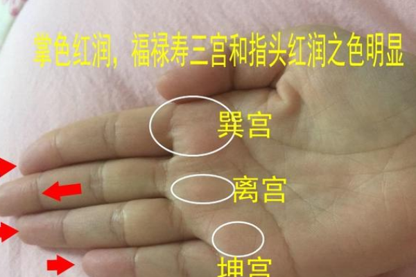 揭秘！手相解读：如何通过手相识别上等命的人