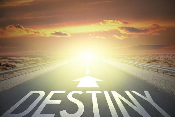 辛卯日柱的命理解析与生活启示：解读属辛卯之人的命运之钥