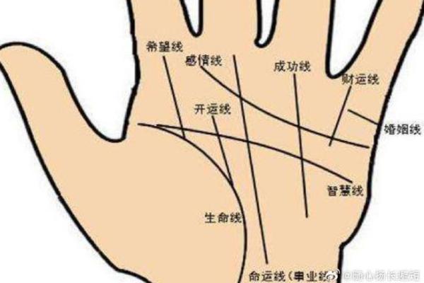 透视手相之道：探索上等命的神秘之手!