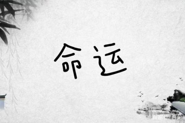 探寻1988年1月9日出生者的命运与人生轨迹 探寻1988年1月9日出生者的命运与人生轨迹