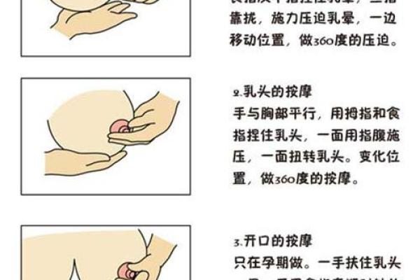 乳房丰满的女人有什么命：从美丽到命运的深度探讨