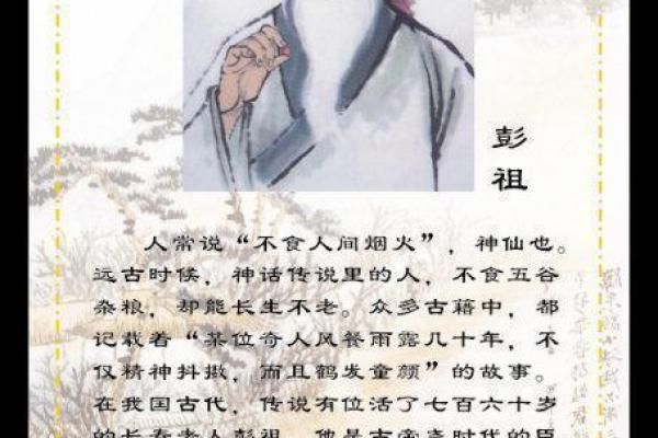 抬棺材的人命运与生活的哲理探讨