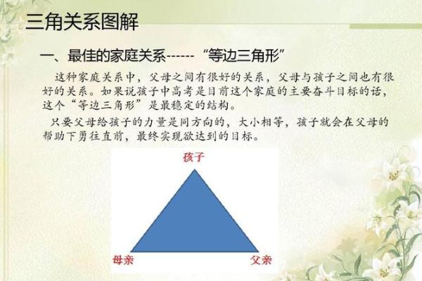 女儿生男子命:家庭结构与性别的无形影响 女儿生男子命:家庭结构与性别的无形影响