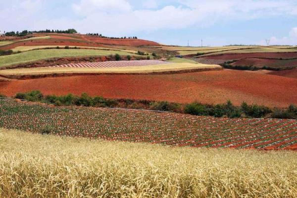 冰水命的颜色之道：让你的生活更加斑斓多彩