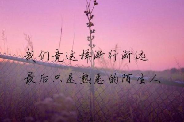 命运的无奈：我与存于记忆中的孤独时光