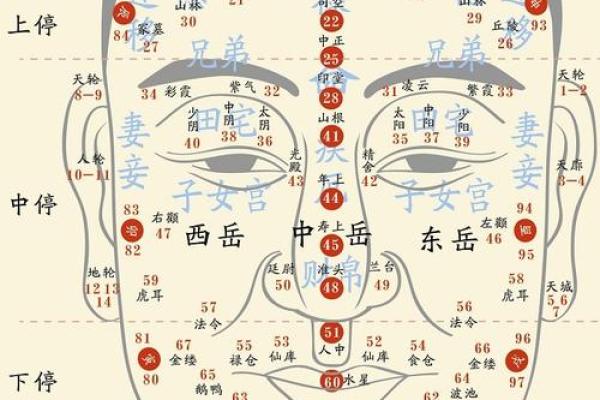 门牙长得长的人有什么命运?揭秘你的面相与命运的秘密! 门牙长得长的人有什么命运?揭秘你的面相与命运的秘密!