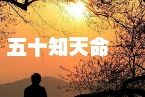 1973年:牛年人的命运与人生旅程探秘 1973年:牛年人的命运与人生旅程探秘