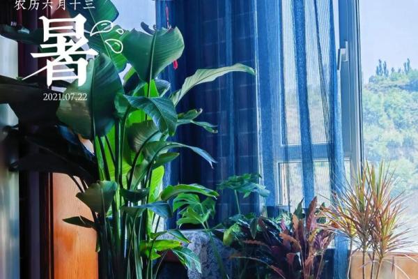 女属1960：魅力与智慧的命运之旅