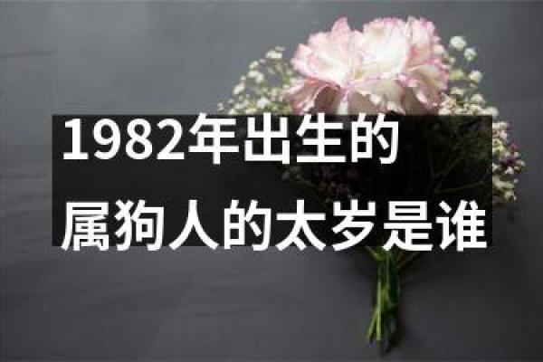 1982年属狗人的命运分析与人生智慧