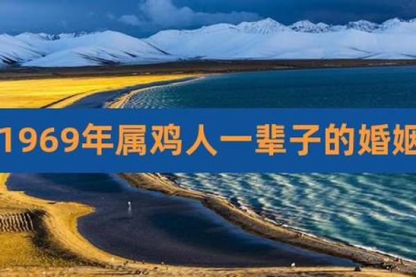 属鸡人命理解析：揭示你的命运与人生方向！