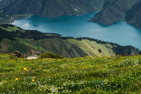 探索山下火命男孩的命理之美与人生之路