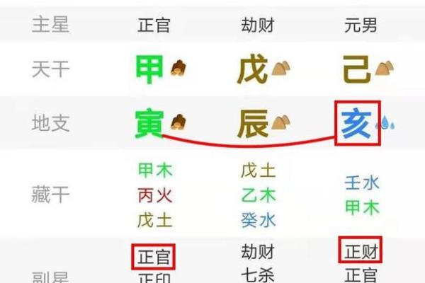 木命人士如何选择合适的皮带：风格与运势的完美结合