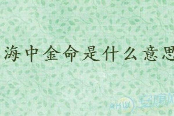 海中金命的源起与探讨：深海中的命理智慧