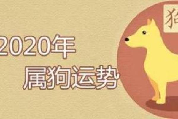 2023年属狗人的命理解读：运势、事业与感情的全面分析