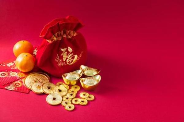 属猪之人戌时命运解析：探秘八字中隐藏的财富与幸福