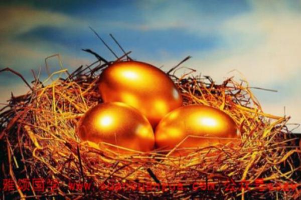 土命人如何选择钱包：与财运相伴的智慧之选