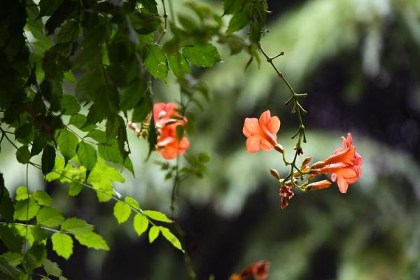 缺水的男孩：生命渴望中的希望与坚韧