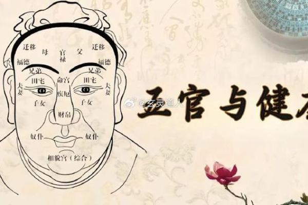 命理与健康：解析你的命理如何影响身体状况