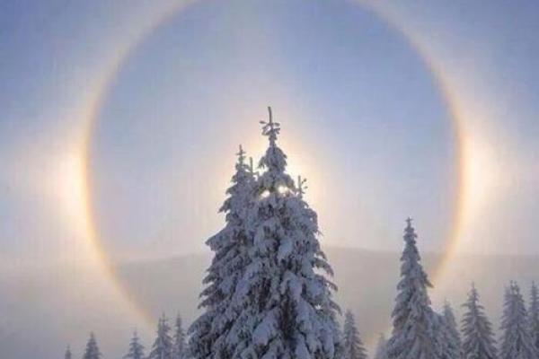 梦见生肖牛的吉凶运势解析：揭开命运的神秘面纱