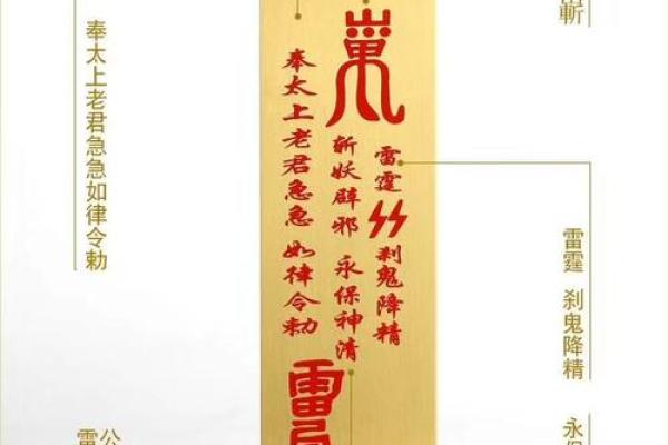 水虎命的忌讳：探寻水虎命命主的生克关系与属性禁忌