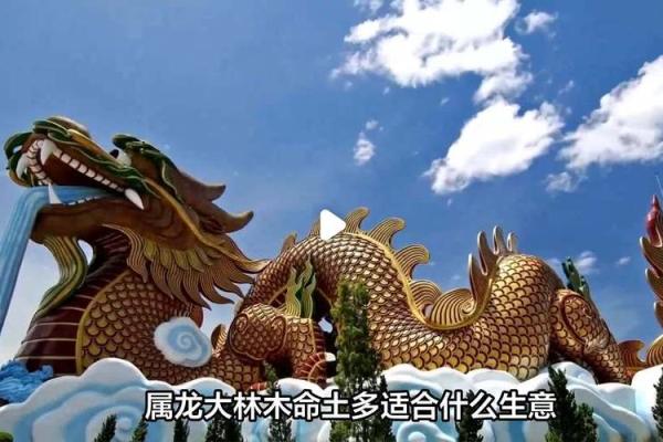 什么动物最旺大林木命？探索生肖与五行的神奇联系