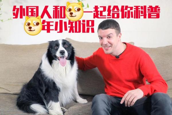 58年狗命运解析：狗年出生者的性格与命运之旅