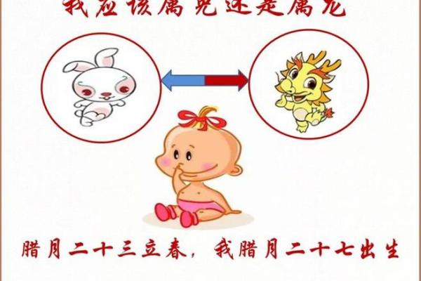 2008年属兔之命：探寻兔年的神秘与生活智慧
