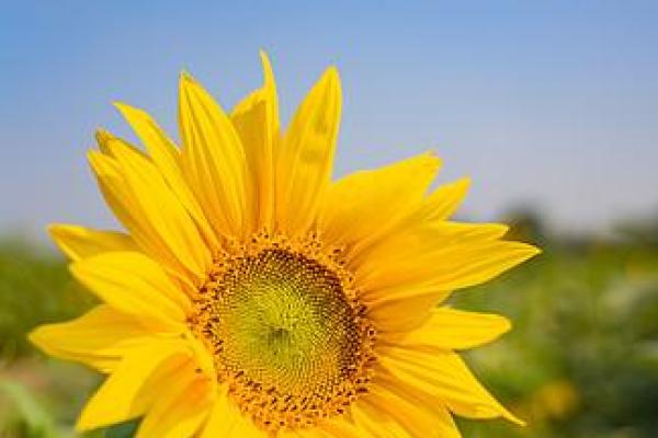 大海水命的人该如何选择色彩，助力生活与运势？