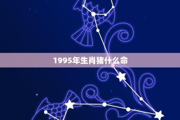 1995年属猪者的命运与生活智慧探讨