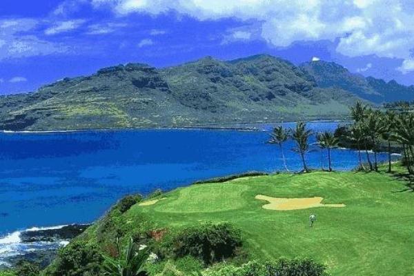 大林木命适合的宝石：让你的运势焕然一新！