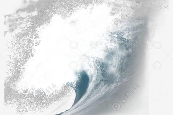 大海水命适合收藏什么？揭秘海洋气息的独特魅力！