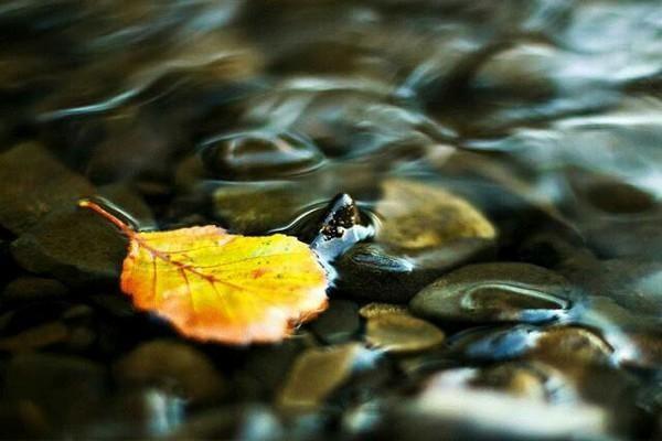 易经命卦之奥秘：探索人生在变化中的智慧与哲理