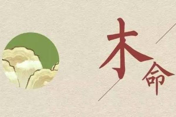 属狗金命的家居风水摆放指南，提升运势与幸福感！