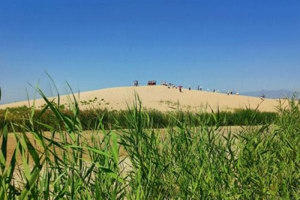 大海水命：探寻海洋之心与心灵的木之旅