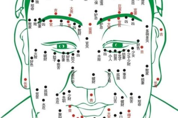 脸上长物子的命运解析：神秘的面相学与生活暗示