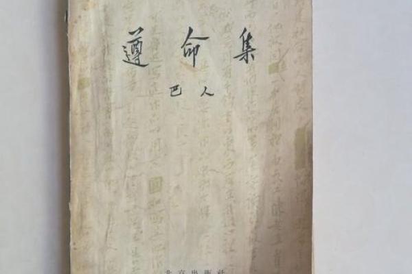 揭开“奴才”真相：男人身世背后的命运与挣扎