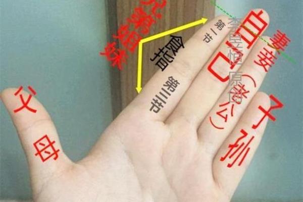 2017年属火鸡命：解析性格与运势，助你实现人生理想！