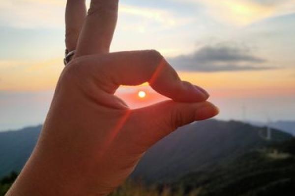 95年属猪的命运解析：拨开迷雾，发现自我之光！