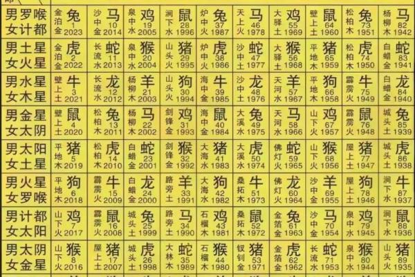 2023兔年命理解析：探索兔年的幸运与挑战