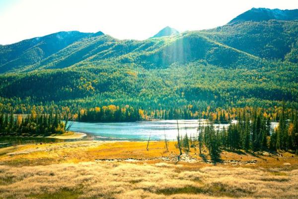 大林木命与相配的生肖，造就人生的幸福之路