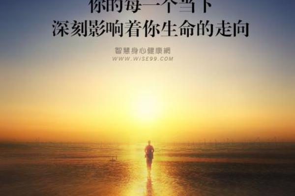 探寻“满地命”背后的深刻含义与生存智慧