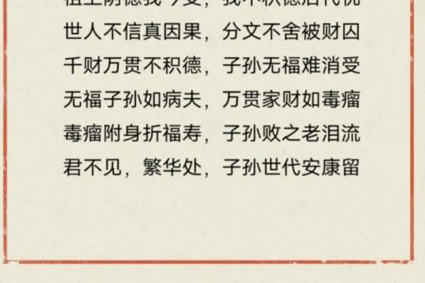 探寻“满地命”背后的深刻含义与生存智慧