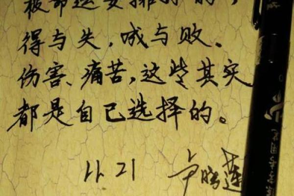 属马之命：奔腾不息的人生轨迹与命运解析