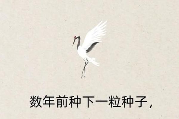 揭秘87兔的命运与配对，助你掌握人生方向