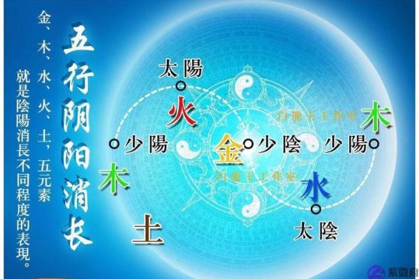 揭开三命六命的神秘面纱，探索命理学的奥秘